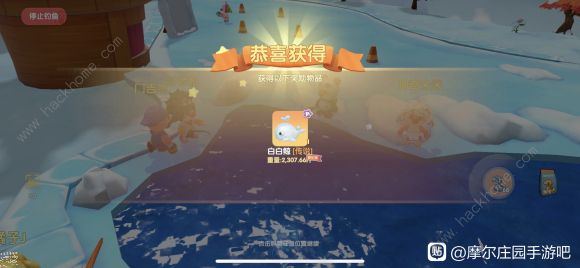 卡四星盟这四个星到底有什么秘密