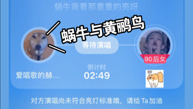 卡盟美少女图片哪一款让你心动不已