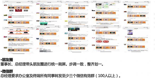 阿苏卡盟这究竟是什么神仙组织