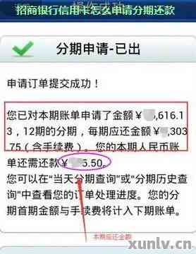 新商盟信用卡怎么付款步骤全解析
