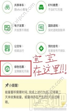 卡盟美团种树如何边吃边赚绿色能量