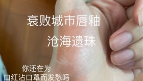 掌盟好卡真的那么好用吗效果如何