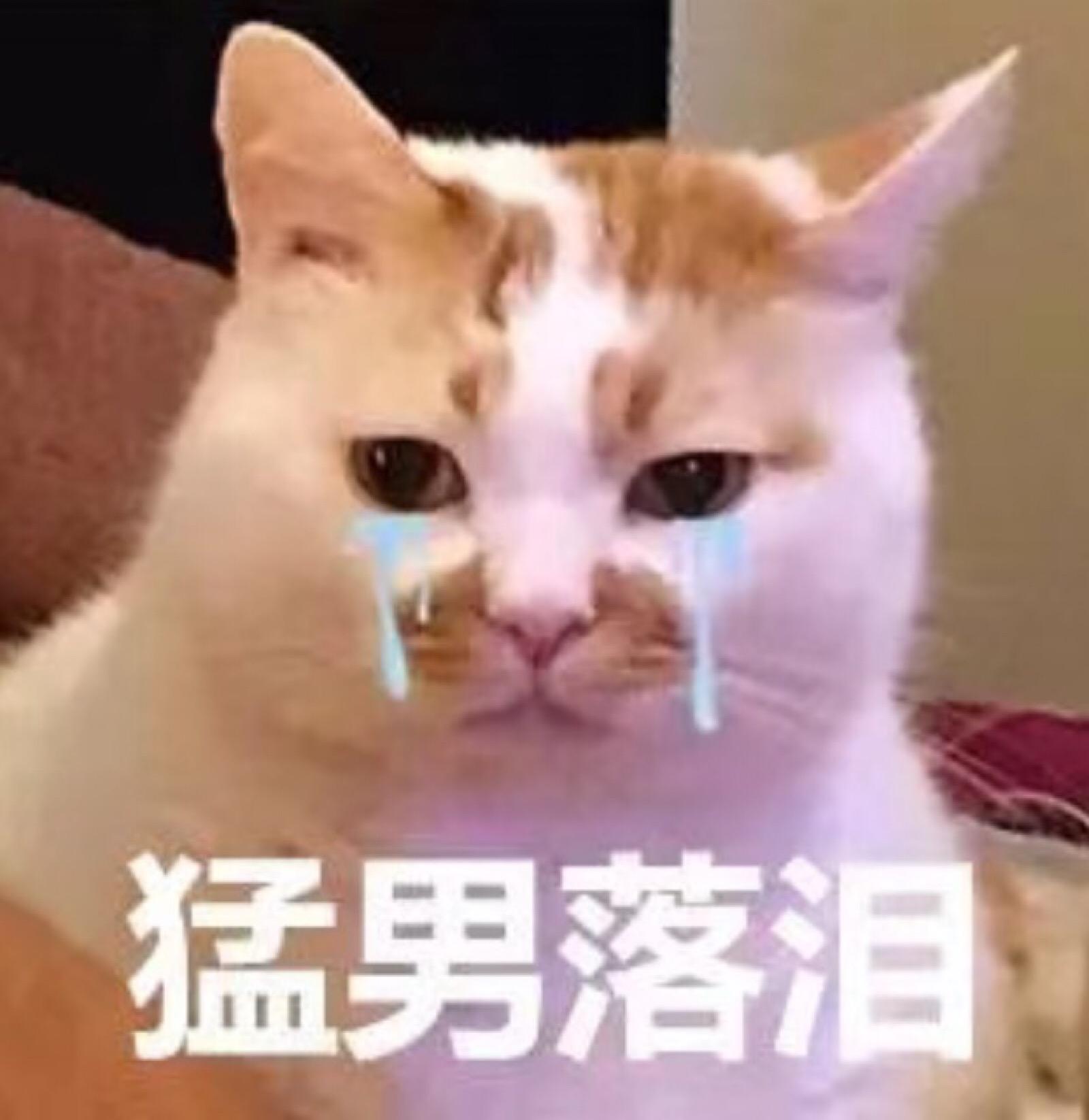 掌盟阿卡丽表情新玩法你知道多少