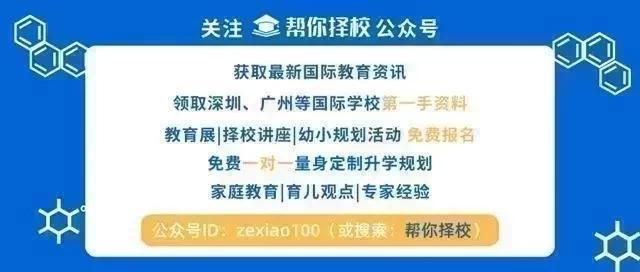 卡盟狗二通关这么难核心技巧大揭秘