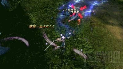 小心卡丽熙的血盟卫的陷阱别中招