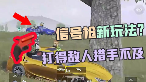 和平精英卡盟大神猪这家靠谱吗