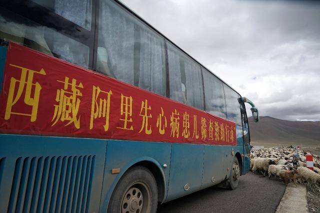 措勤县卡盟挂车性能如何值得入手吗
