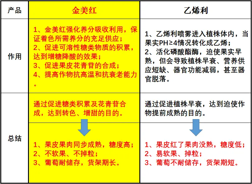 城鑫卡盟靠谱吗选卡盟如何避免踩坑