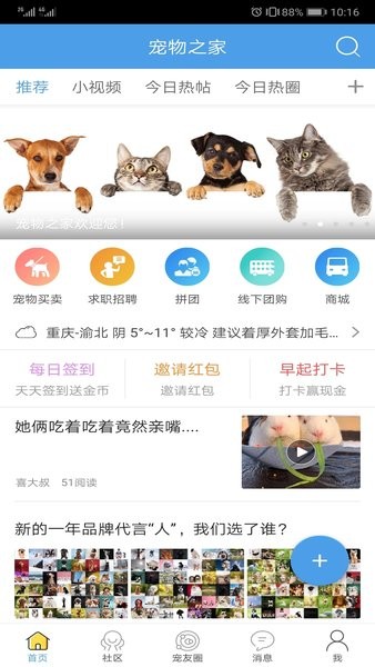 卡盟宠物店哪家强高品质宠物等你带回家
