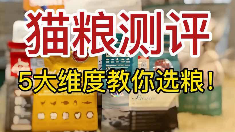 孙少卡盟哪家强优惠力度大你选对了吗