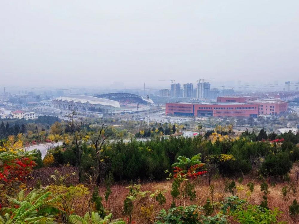 卡盟峄城究竟有什么吸引力让人流连忘返