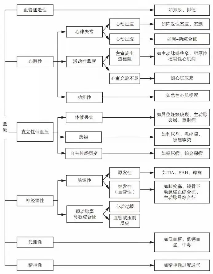 卡盟鱼图像里藏着哪些秘密你知道吗