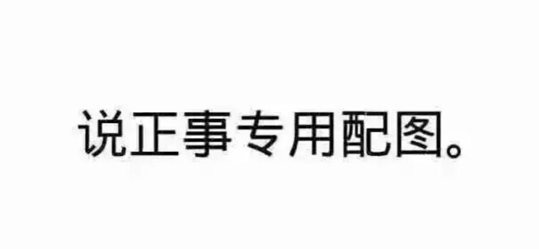 卡盟西子猫猫第二弹来袭你准备好了吗