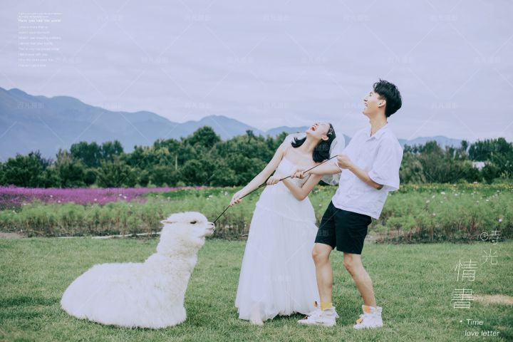 新乡卡盟婚纱摄影跟拍能否如此浪漫
