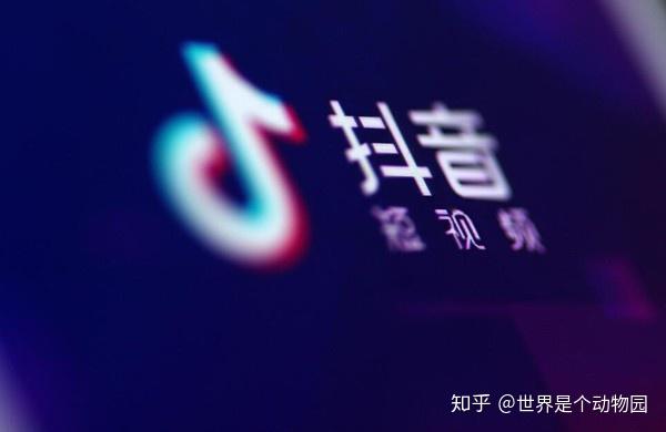 抖音评论卡盟全网最低价你还在等什么