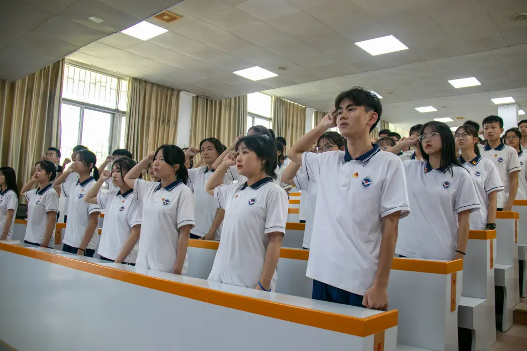图卡盟淘汰动画这个新动画到底有多火