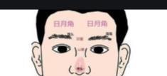 卡盟网为何倍受青睐其特点与优势何在
