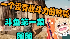 派大星卡盟绝地求生这款游戏怎么玩才绝