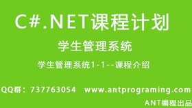如何轻松学会卡盟装修视频教程大揭秘