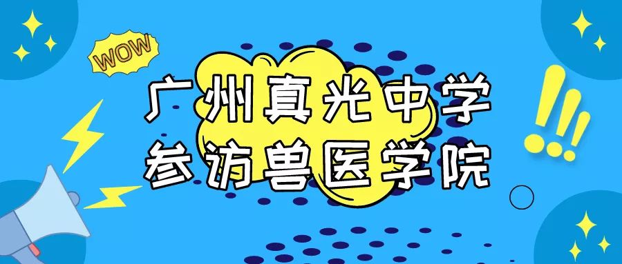 小年卡盟值得买吗性价比如何你说了算