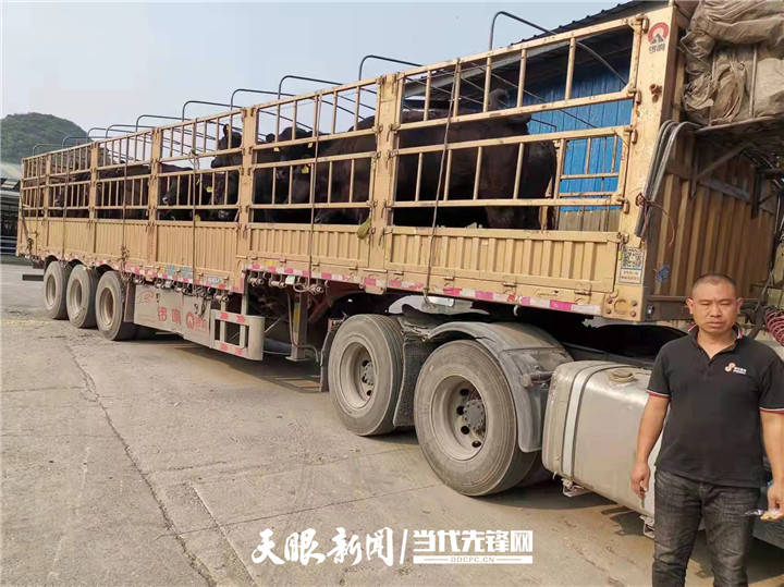 筠连县卡盟挂车这玩意儿怎么用效果好吗