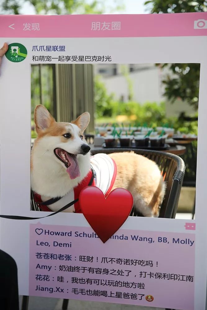 卡盟宠物你的萌宠养护好帮手快来了解
