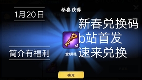 小黑卡盟为何突然轰炸玩家如何应对