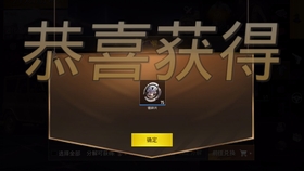 pub国际服卡盟平台为何备受玩家青睐
