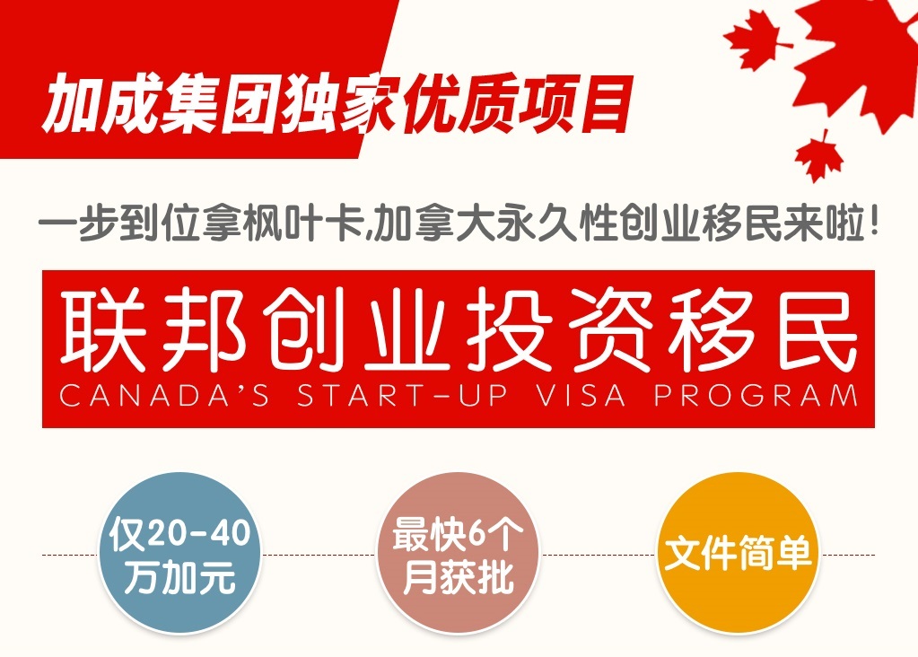 如何一步到位顺利登录卡盟会员平台