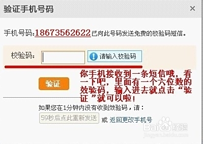 鸽子卡盟怎么选新手必看这些技巧