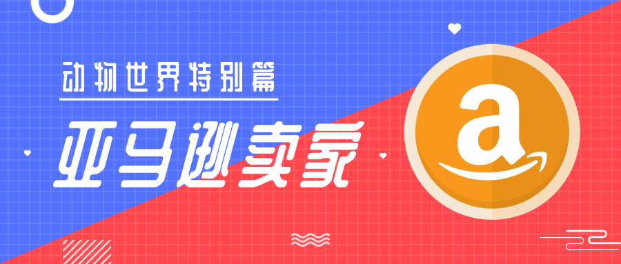 卡盟里名字哪家强创意独特引人注目
