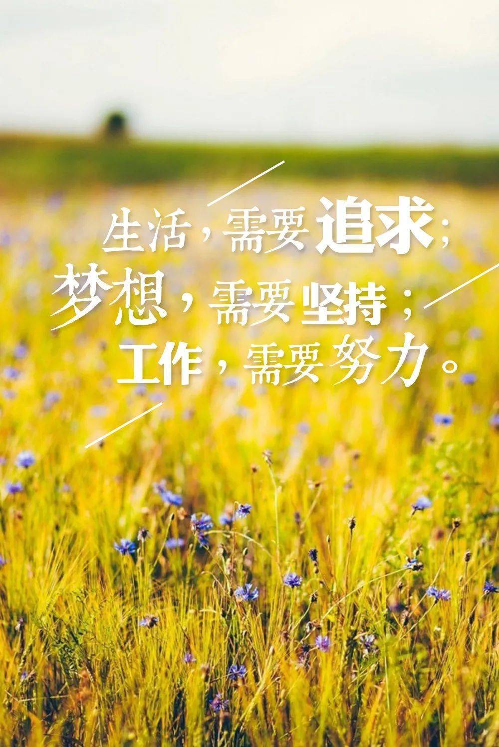 早安心语卡盟精选哪一句触动了你的心弦