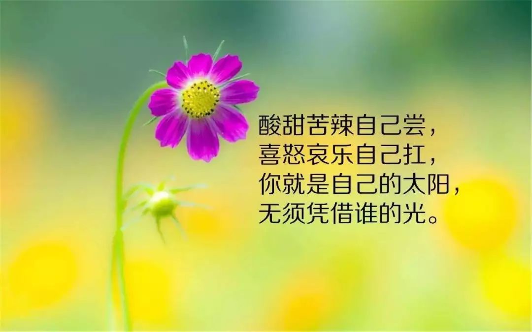 早安卡盟心语每日一句话如何温暖你的心