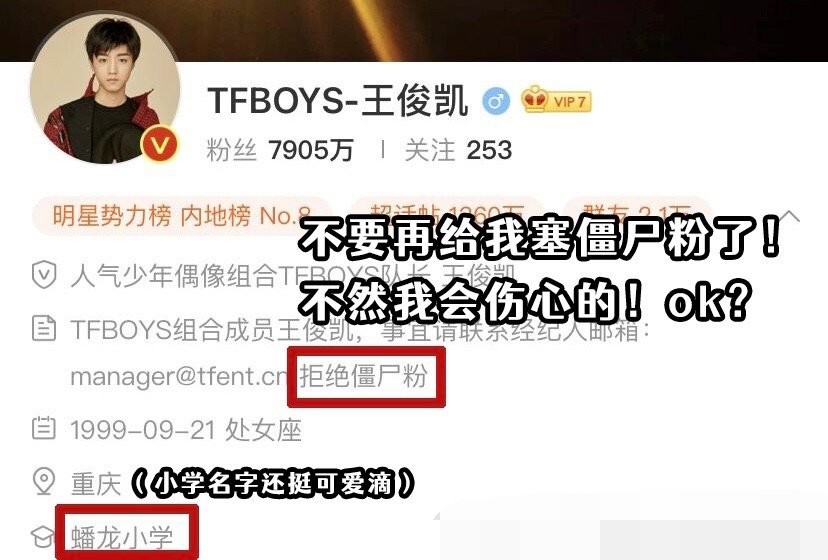 卡盟薮猫究竟是什么样的萌宠让人心动