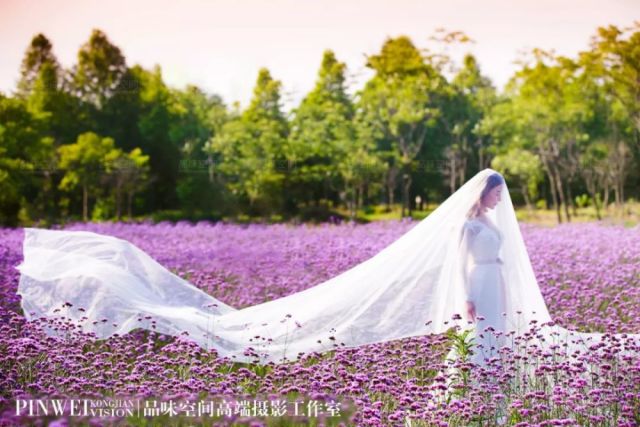 开州卡盟婚纱摄影这家店电话是多少呀