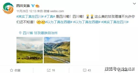 杨少卡盟域名真有这么火揭秘背后原因