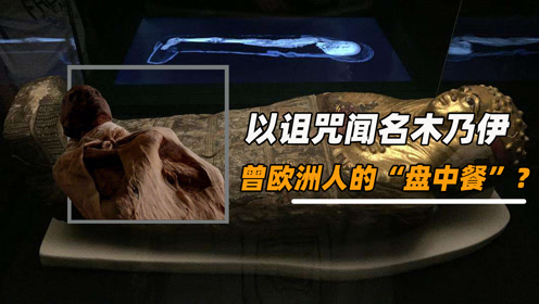 图卡盟和木乃伊究竟有什么不同一探究竟