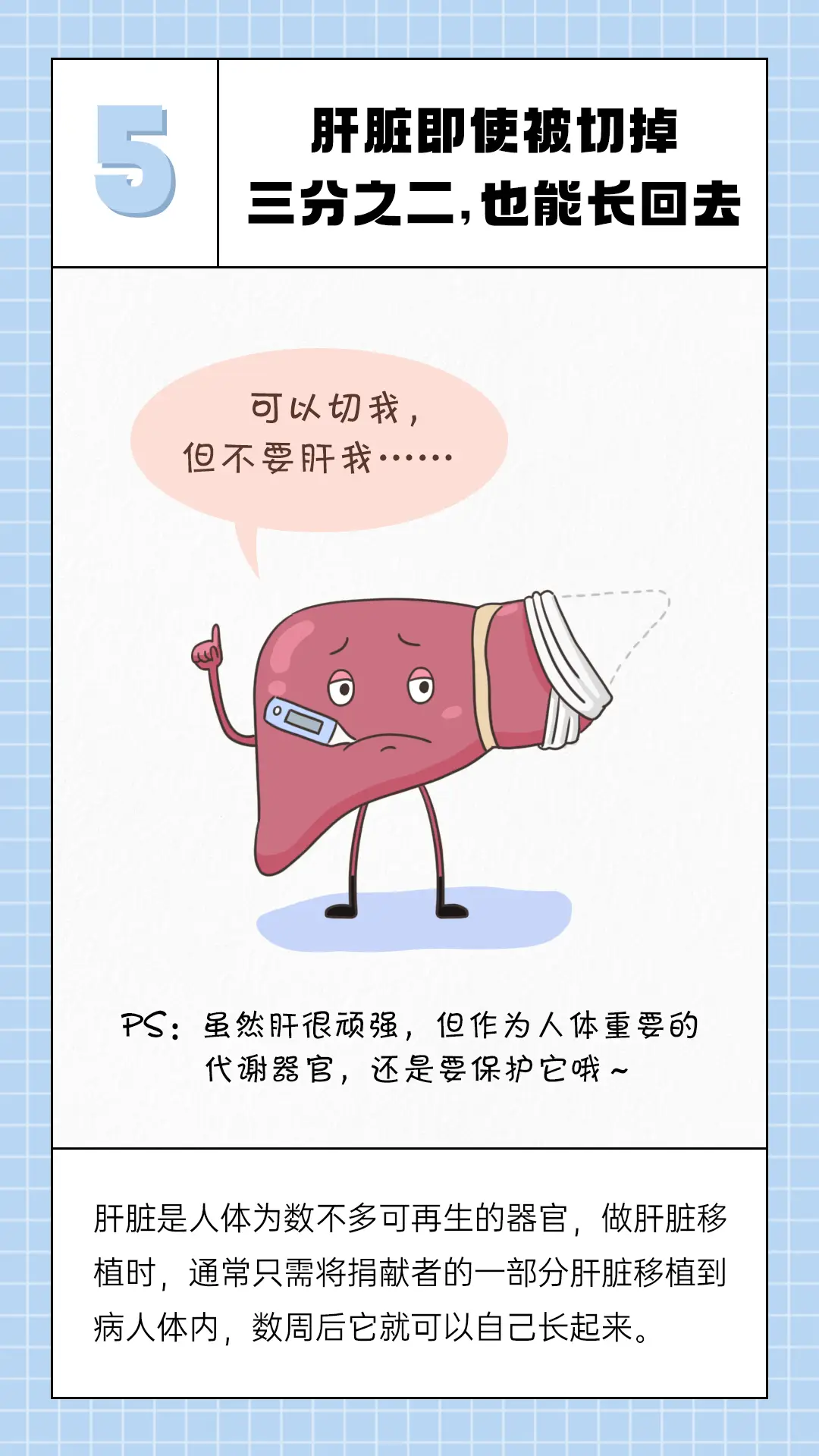 掌盟资料卡里的隐藏秘密你知道多少