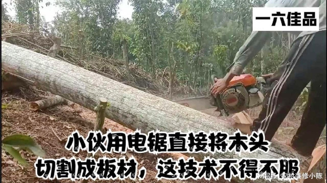 卡盟9寸手提电锯轻松切割木材高效又安全