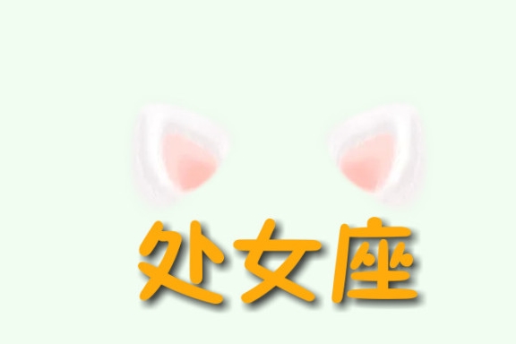 河西卡盟幼儿园真的那么好吗值不值得托付