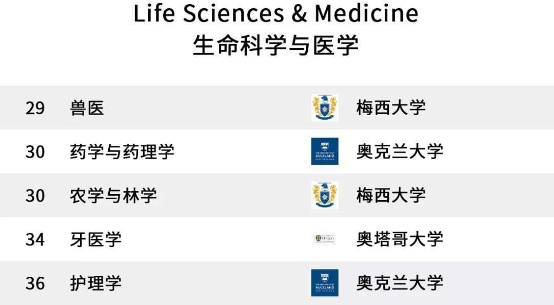 郁金香卡盟花式福利哪家强快来一探究竟