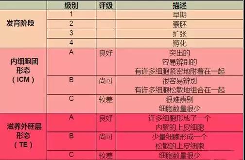 晨男卡盟等级怎么区分不同级别福利有哪些