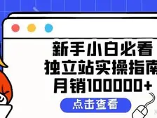 老马卡盟网轰炸效果如何小白必看实操技巧
