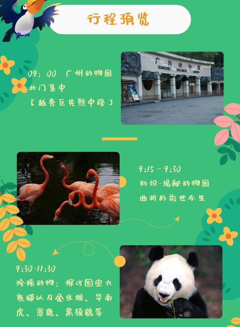 格林盟卡动物园你探索过哪些奇妙生物