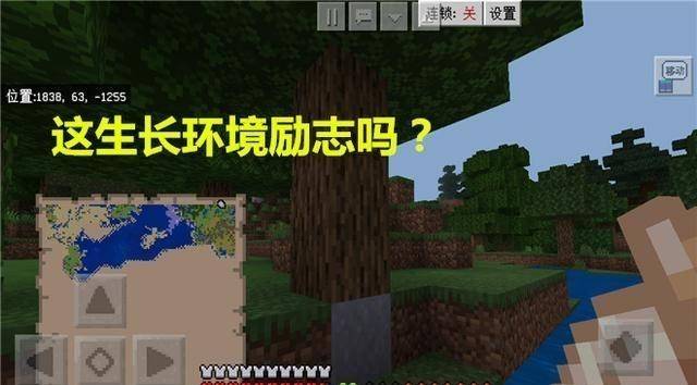 我的世界湖南卡盟你想要的资源这里都有吗