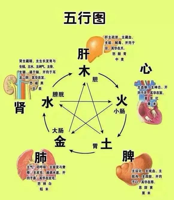 心肝肺都护得住远盟卓康守护卡真的神奇吗