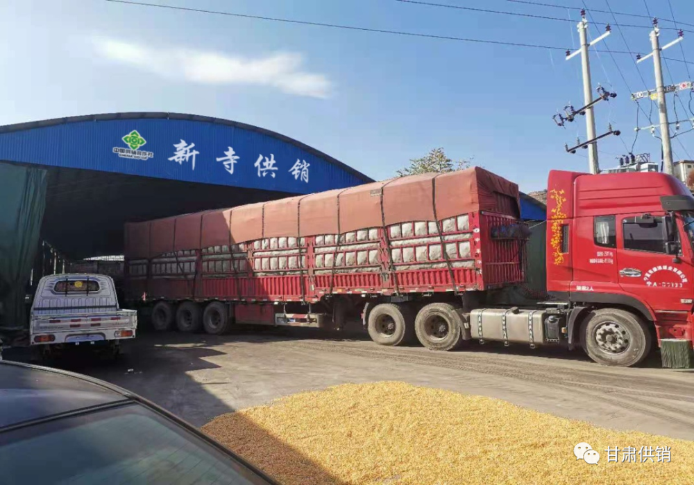 梓潼县卡盟挂车这是哪家的服务效果如何