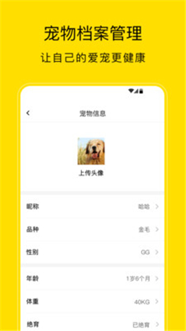 卡盟宠物用品质量好吗新手养宠选它靠谱吗