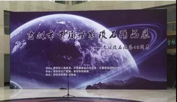 卡盟多尼西博物馆你探索过它的神秘藏品吗
