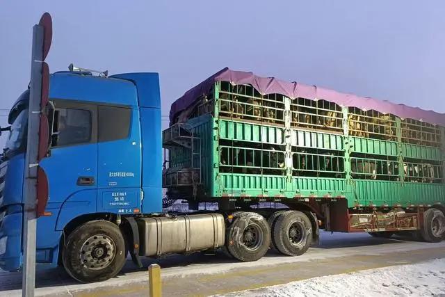 宜君县卡盟挂车靠谱吗价格优惠质量如何